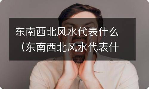 东南西北风水代表什么（东南西北风水代表什么方向）